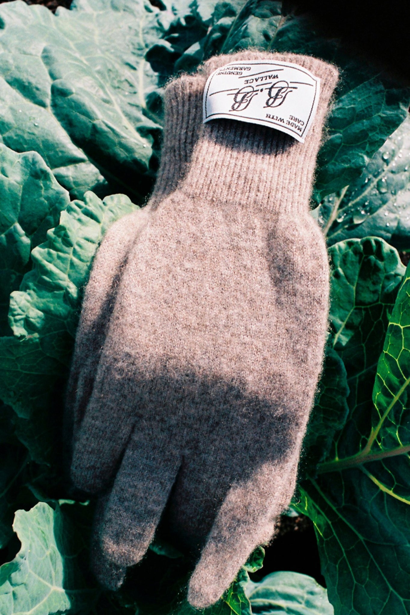 Marlow Gloves in Brown