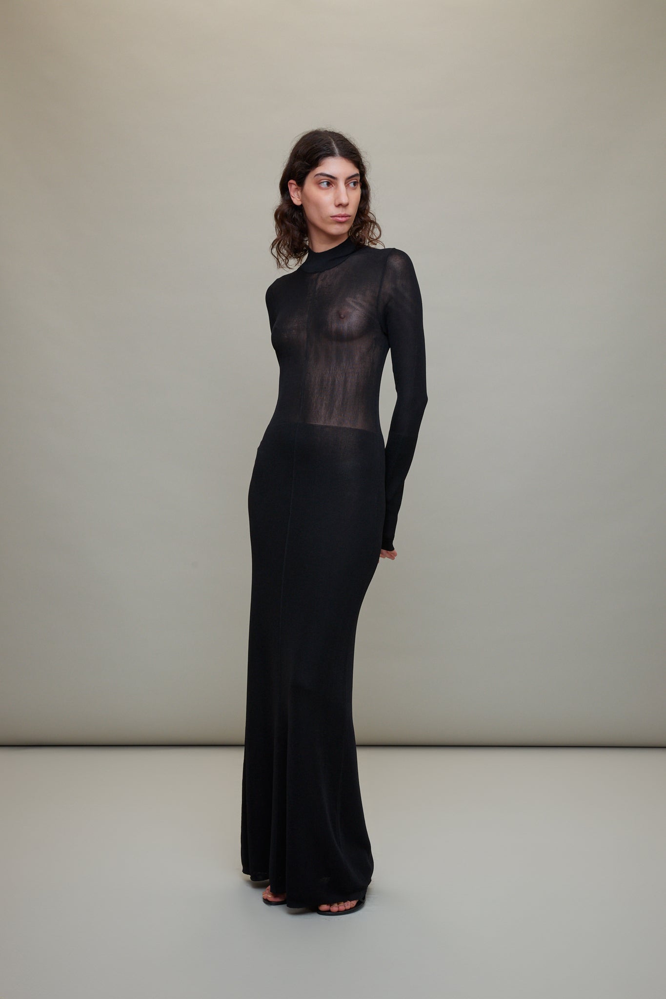 Sheer Mock Neck Dress in Black L'ENSEMBLE Sheer Mock Neck Dress in Black L'ENSEMBLE
